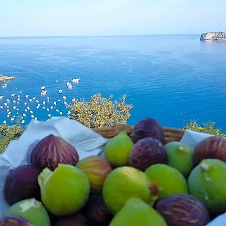 Crawford San Nicola Arcella