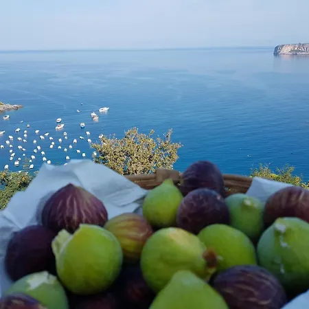 Crawford فندق مبيت وإفطار